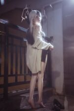 矢量鱼  礼服佳代子