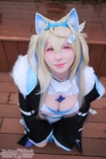 Erokawa Nekomi – Fuwawa