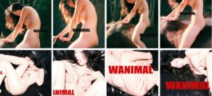 桃良阿宅-WANIMAL