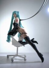 Kimekomi – Miku