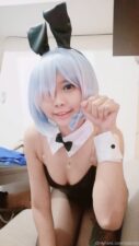 Belldandysg – Bunny Rem