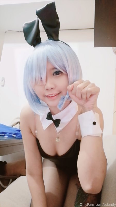 Belldandysg – Bunny Rem