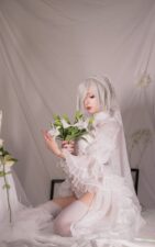 Himeecosplay – Bride 2B